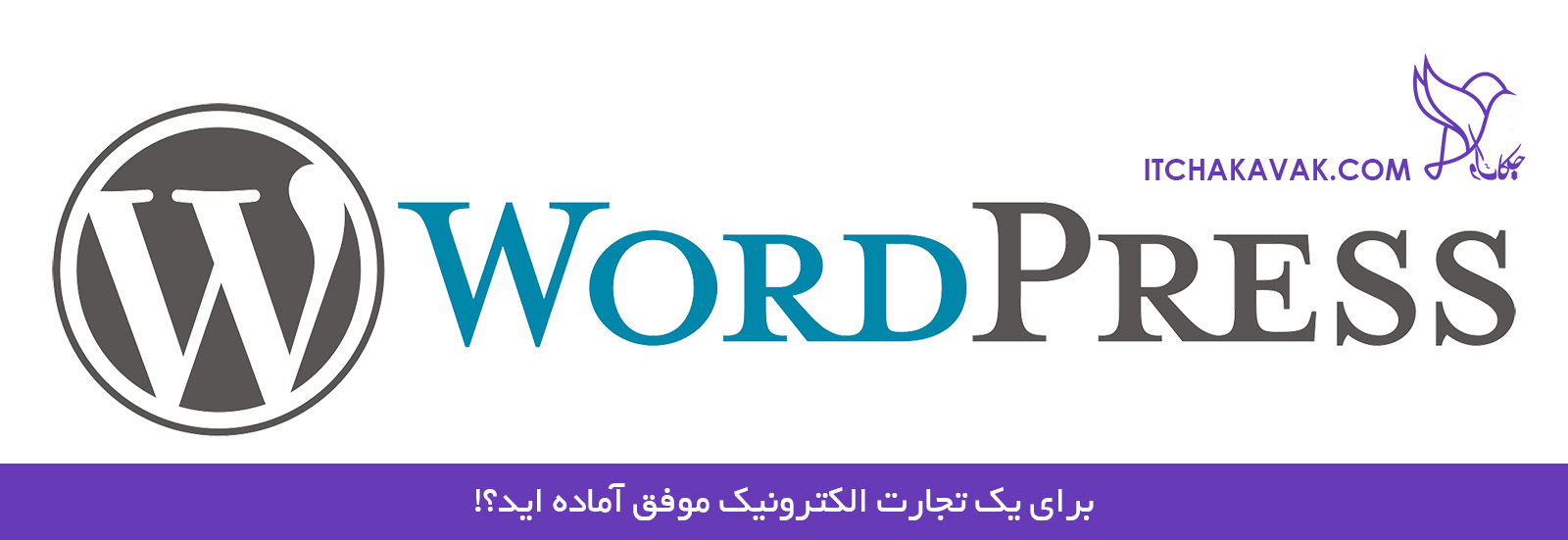 آموزش طراحی سایت وردپرسی در یزد